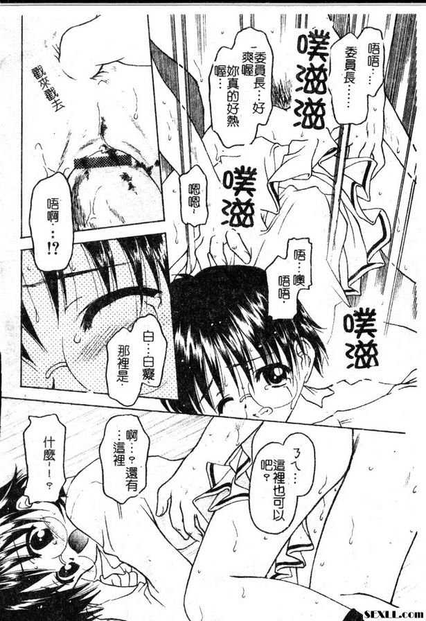 雛菊藍