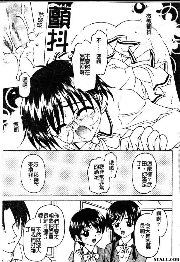 雛菊藍