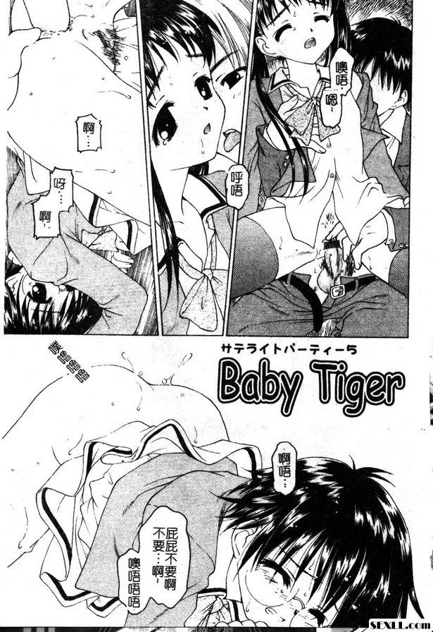 小老虎