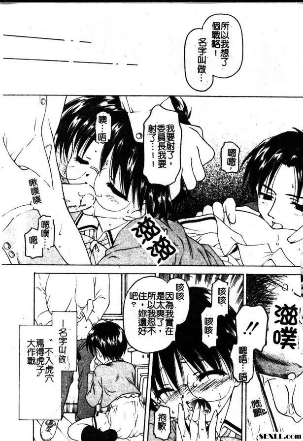 小老虎
