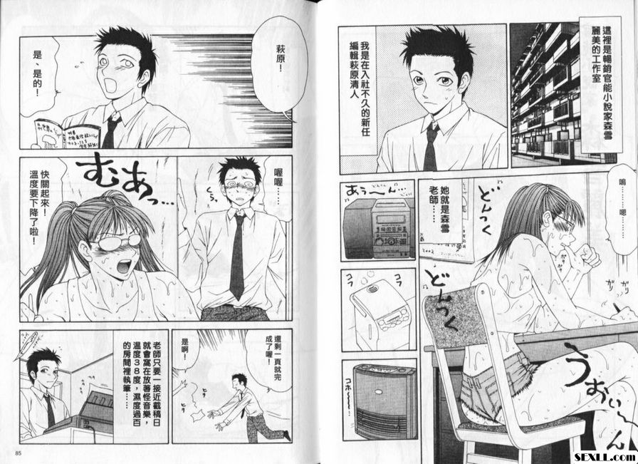 功能小說家