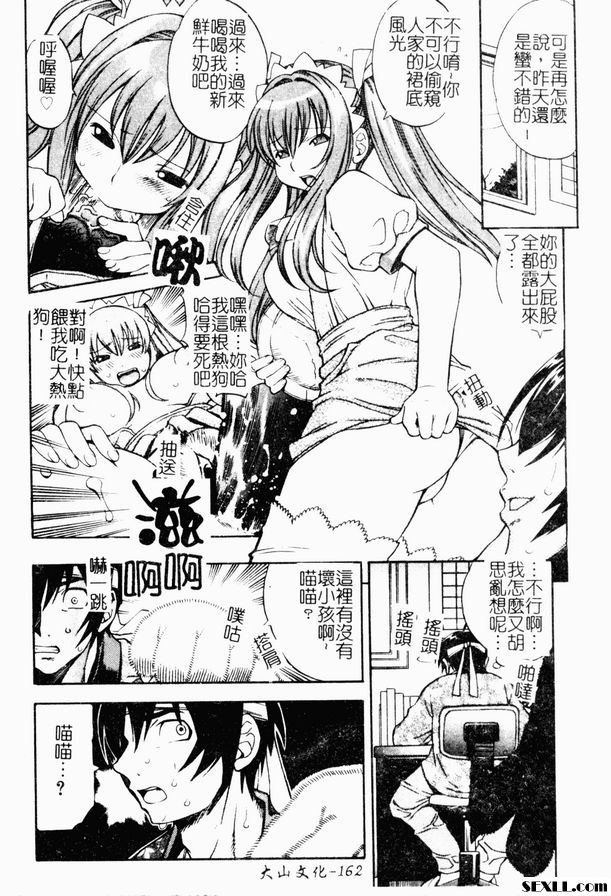 喵喵咪咪子