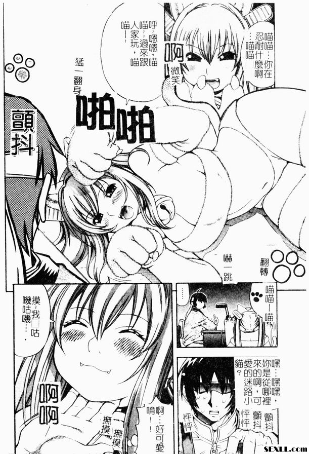喵喵咪咪子