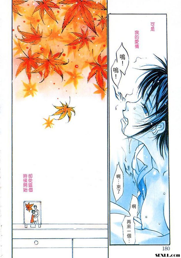 夏之戀