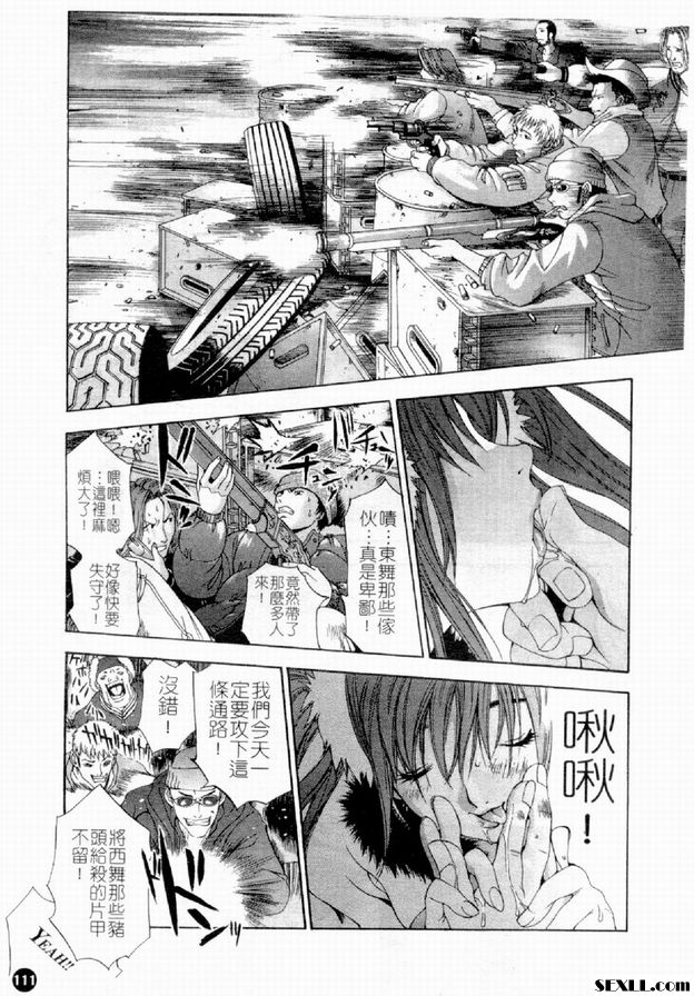 豐死魔區西部戰線