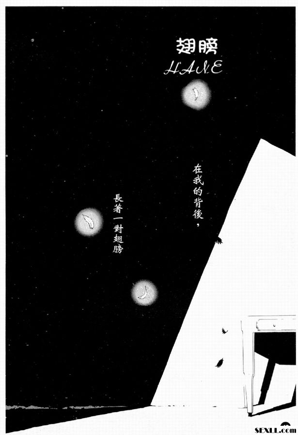 翅膀