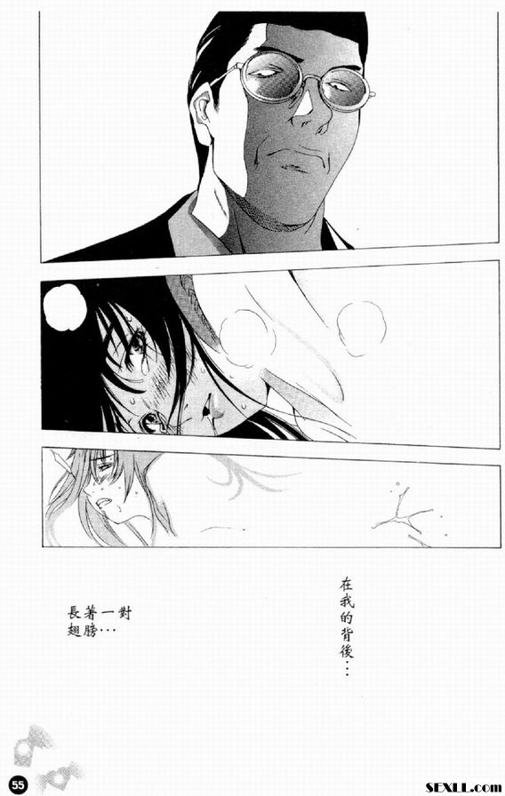 翅膀