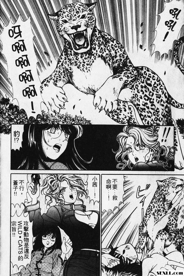 7：最終決戰