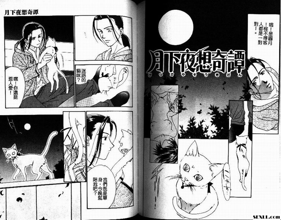 月夜故事