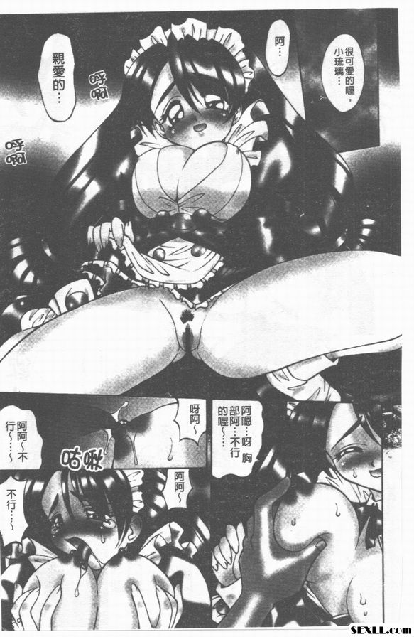 家有雅賊