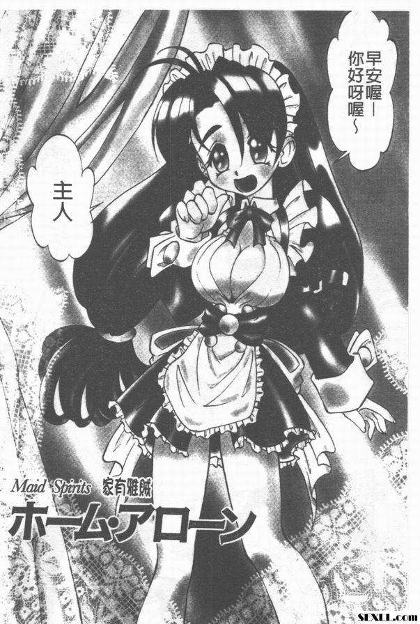 家有雅賊