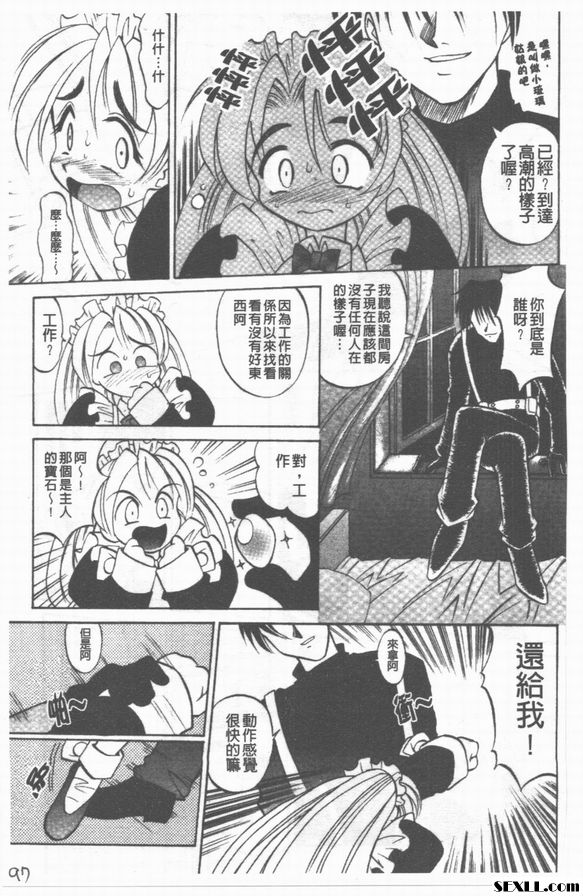 家有雅賊