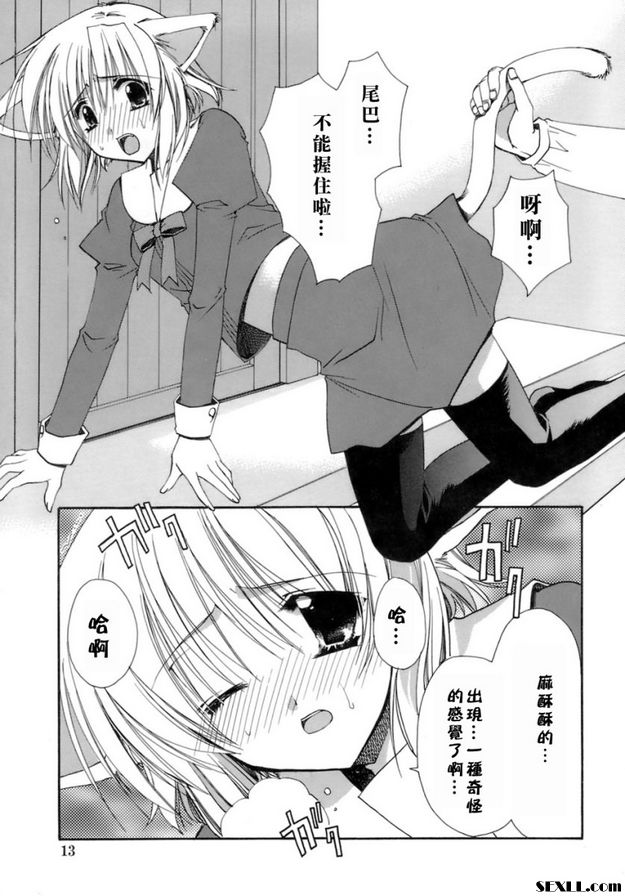 音駒家族
