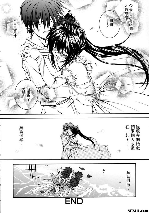 美琴 4