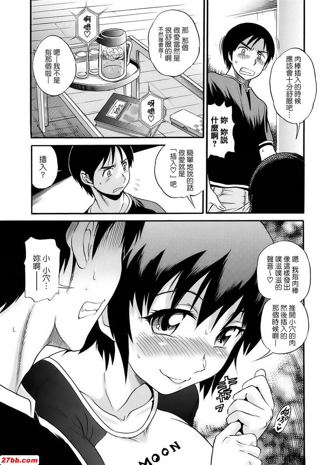 埃索加德斯 X Isocert