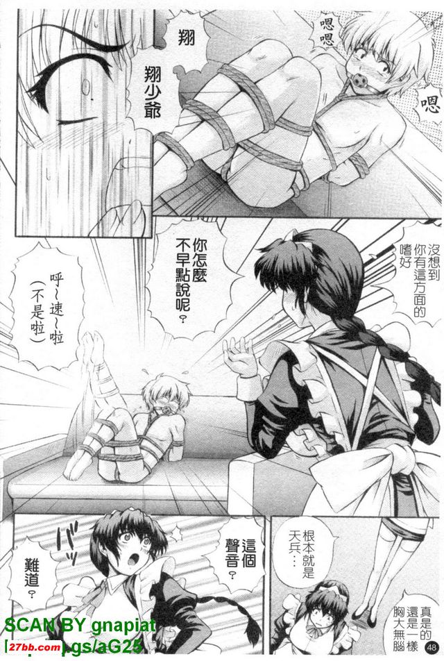 女僕狂愛曲2