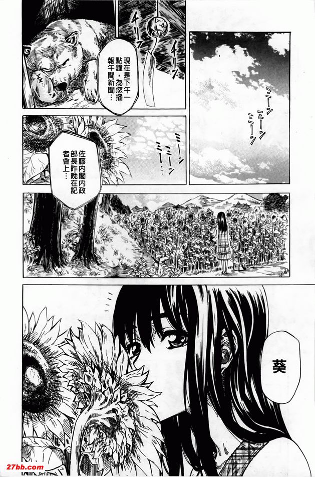 向日葵盛開的季節1