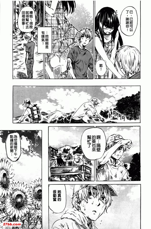 向日葵盛開的季節1