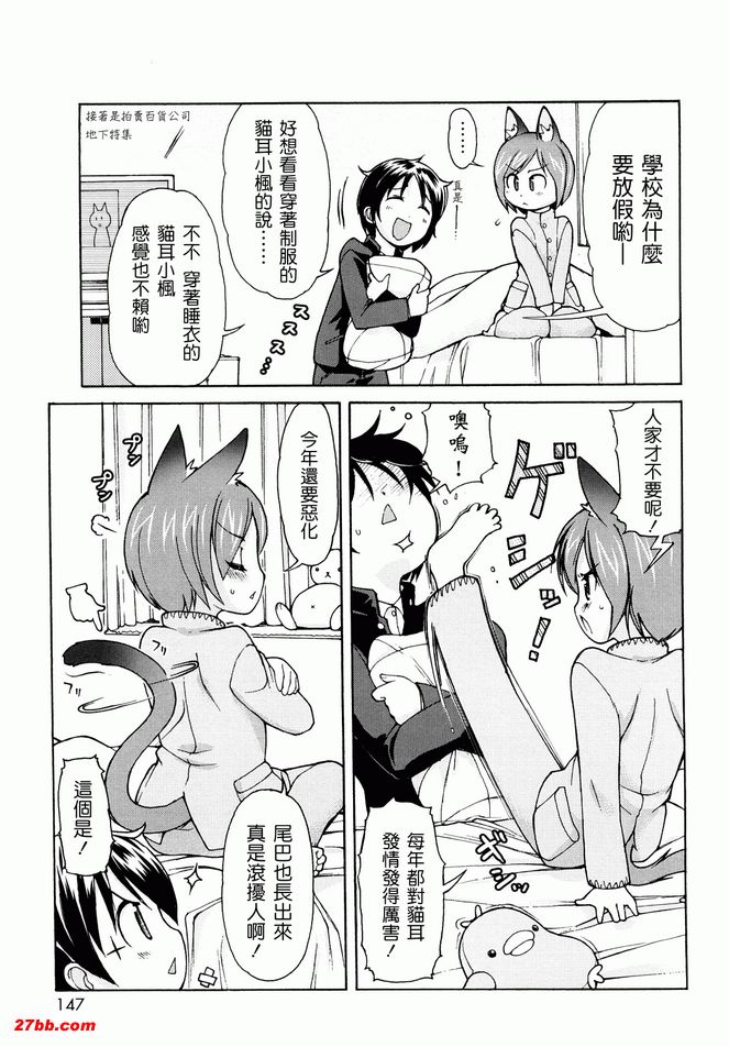 貓咪咪帕索光