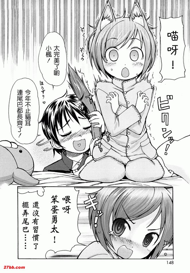 貓咪咪帕索光