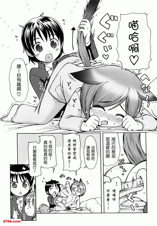 貓咪咪帕索光