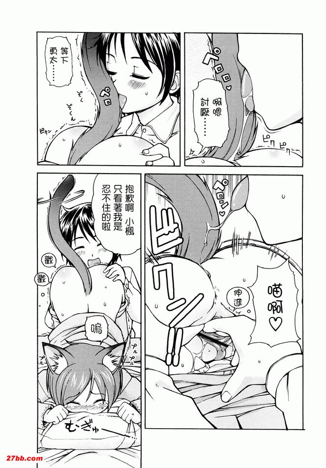 貓咪咪帕索光
