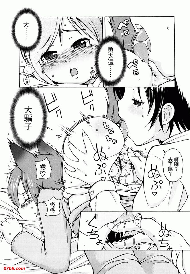 貓咪咪帕索光