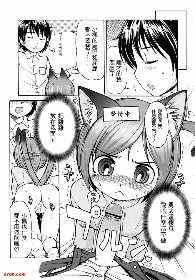 貓咪咪帕索光