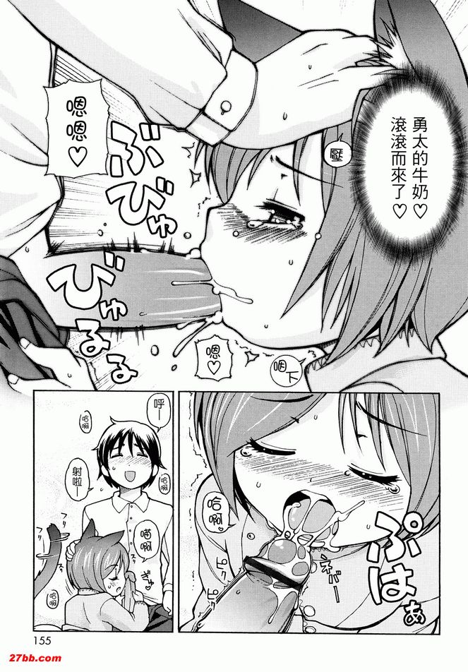 貓咪咪帕索光