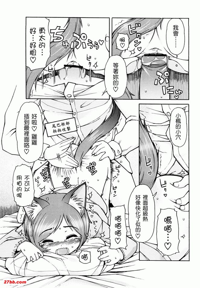 貓咪咪帕索光