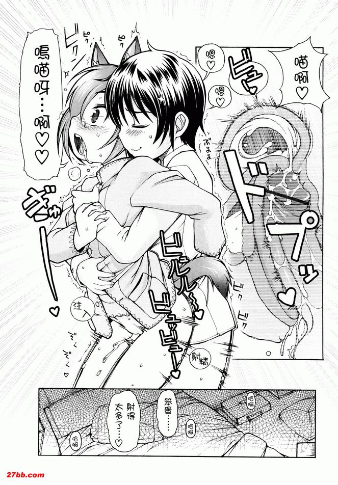 貓咪咪帕索光
