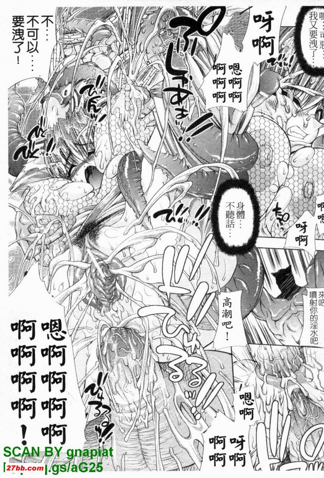 圖檔