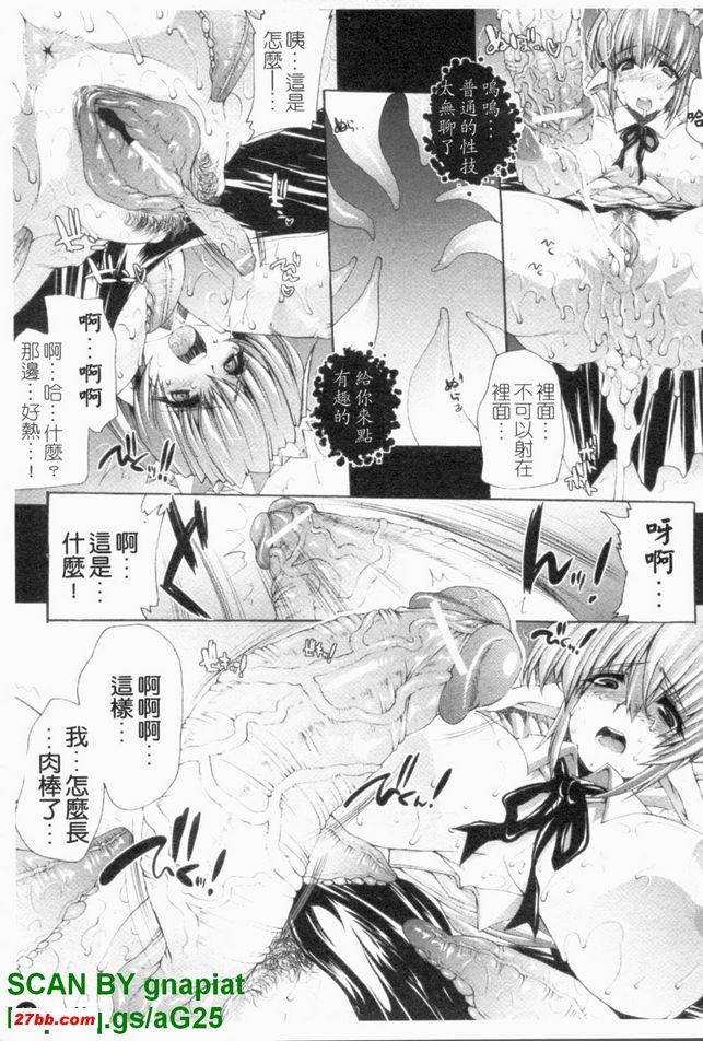 圖檔