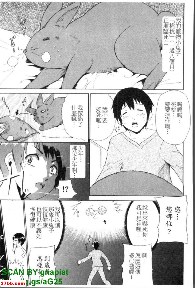 圖檔