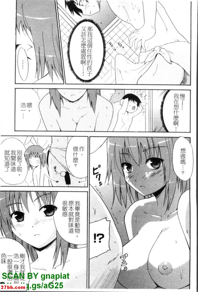 圖檔
