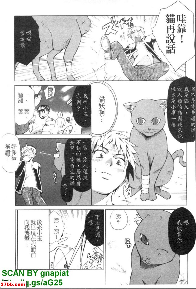 圖檔