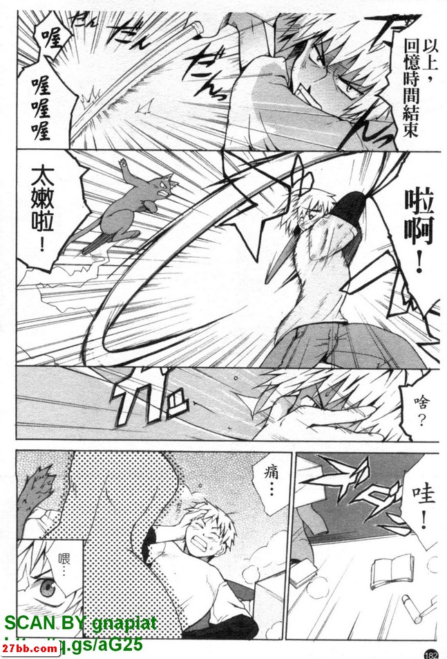 圖檔