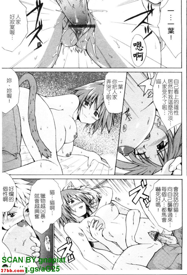 圖檔