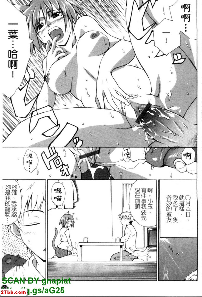 圖檔