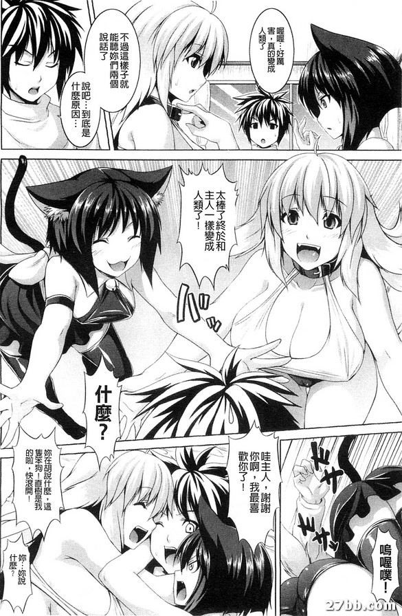 圖檔